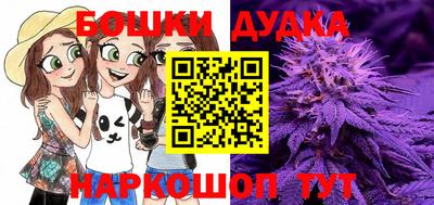 МДПВ Шелехов